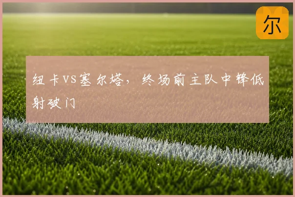 纽卡vs塞尔塔,终场前主队中锋低射破门